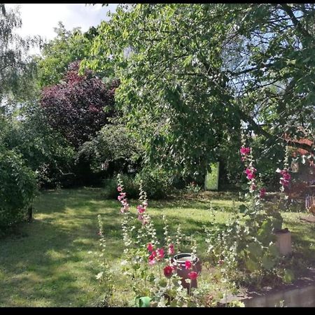 Geraeumiges 120M² Haus Mit Garten + Stellplatz Stralsund Exterior foto