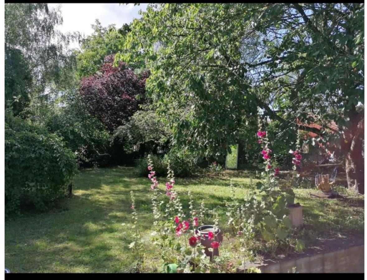 Geraeumiges 120M² Haus Mit Garten + Stellplatz Stralsund Exterior foto